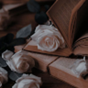 Meet your Posher, Sadie